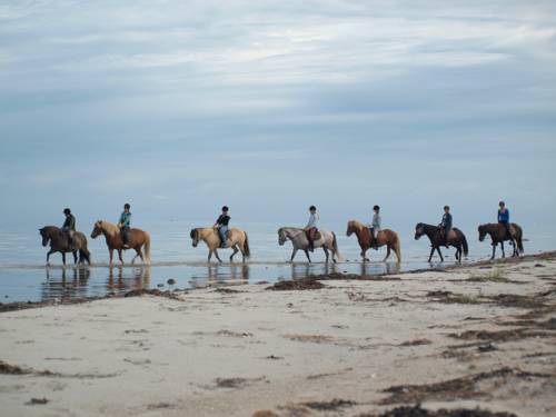 Læsø Danemark Hôtel préféré Booking.com
