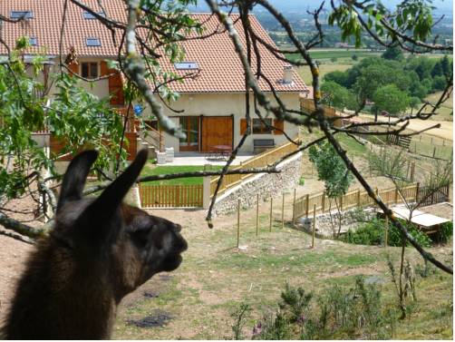 Saint-André-d'Apchon France Hôtel préféré Booking.com