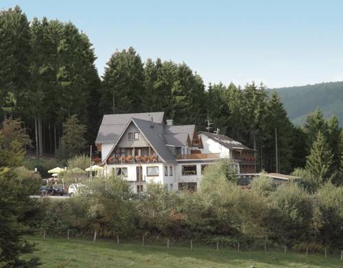 Willingen Allemagne Hôtel préféré Booking.com