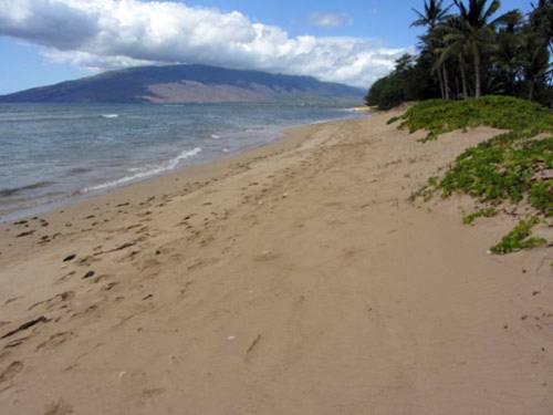 Kihei (Maui, Hawaï) États Unis Hôtel préféré Booking.com