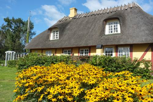 Tranekær Danemark Hôtel préféré Booking.com